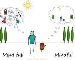 WhatsApp Image 2024-09-15 at 9.43.27 PM